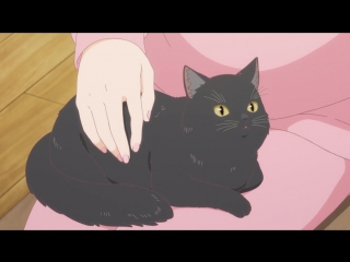 [medusasub] she and her cat   everything flows | she and her cat   everything changes   episode 2   russian subtitles